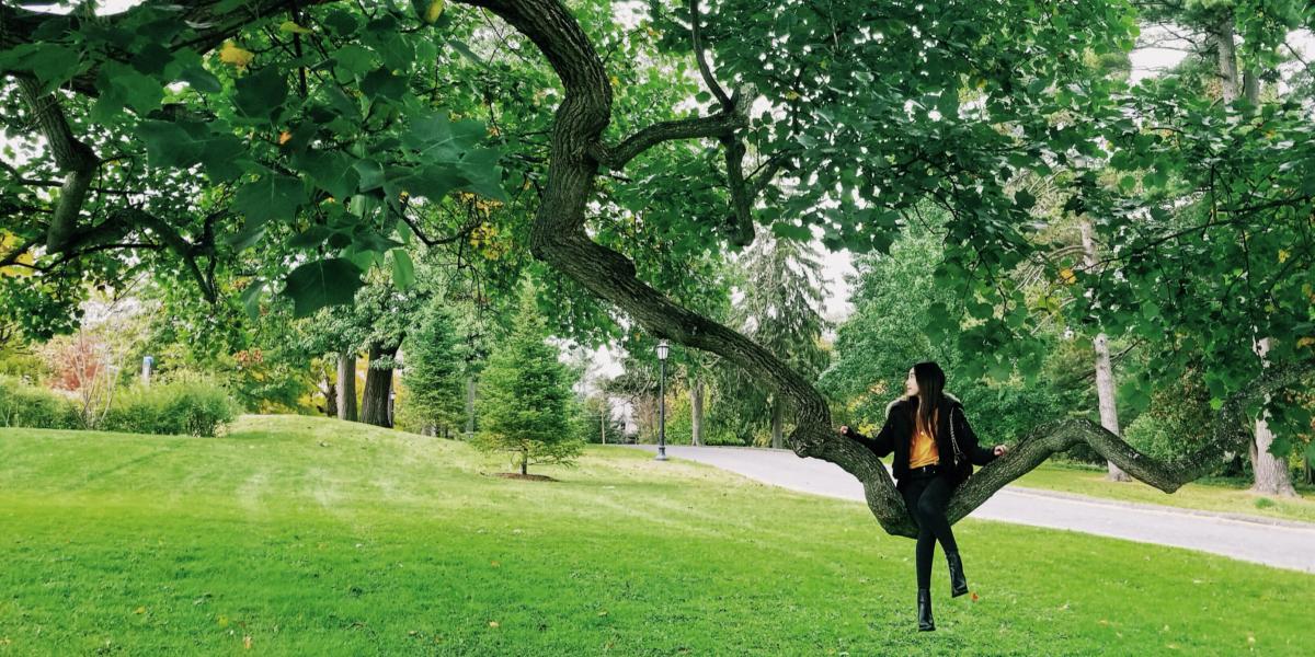 Photo of a student sitting on a brach of a tree