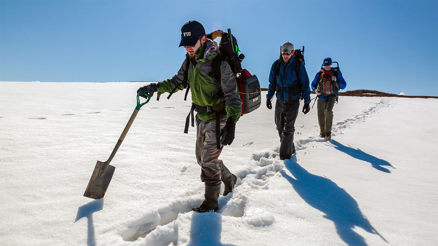 Steven Oberbauer, PhD, and students work in the field to study the impact of climate change in the Arctic.