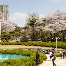 a university campus in South Korea