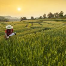 A researcher in a field